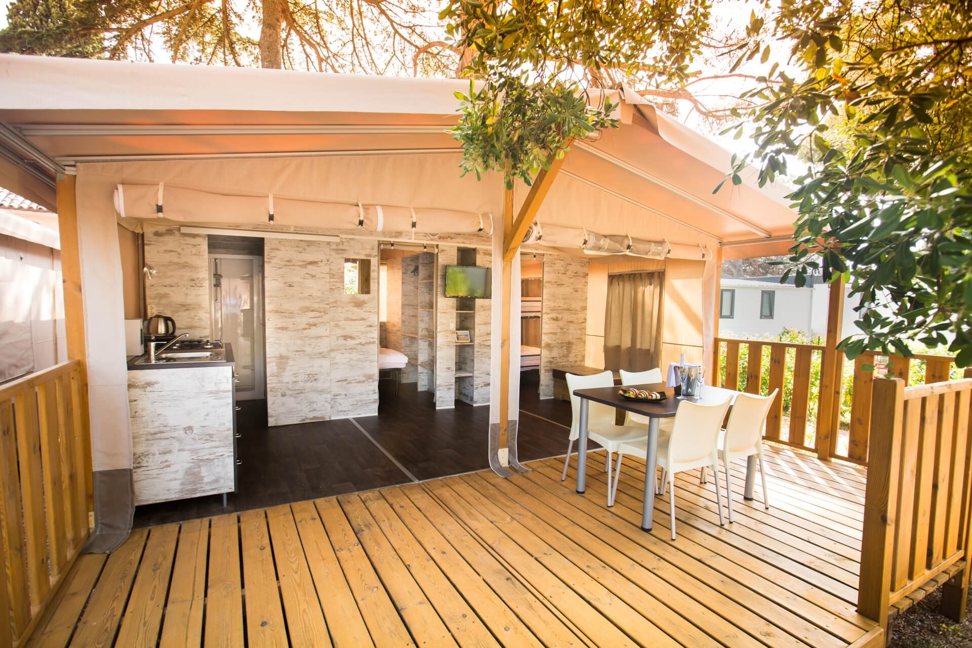 Safari Glamping Tent with Terrace